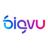 BigVu