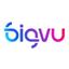 BigVu