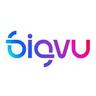 BigVu