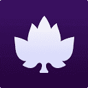 Maple