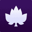 Maple