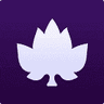 Maple