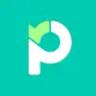 Paymo