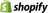 Shopify Payments