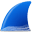 Wireshark