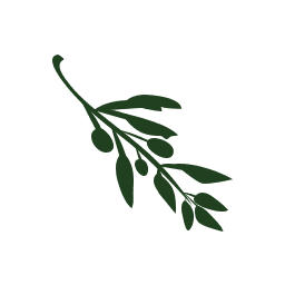 Olive Video Editor